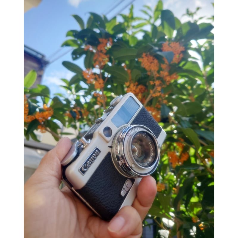 Canon〗Demi EE17（#172） | ニクサンカメラ