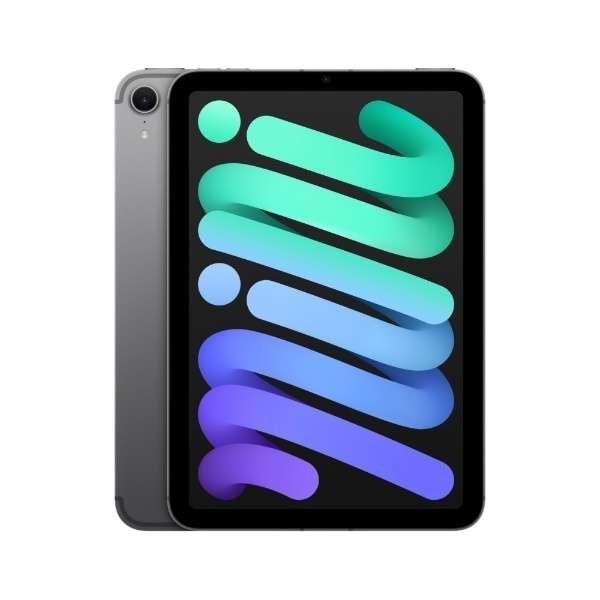 Apple iPad mini 第7世代 セルラー 256GB MXPT3JA スペースグレイ【お